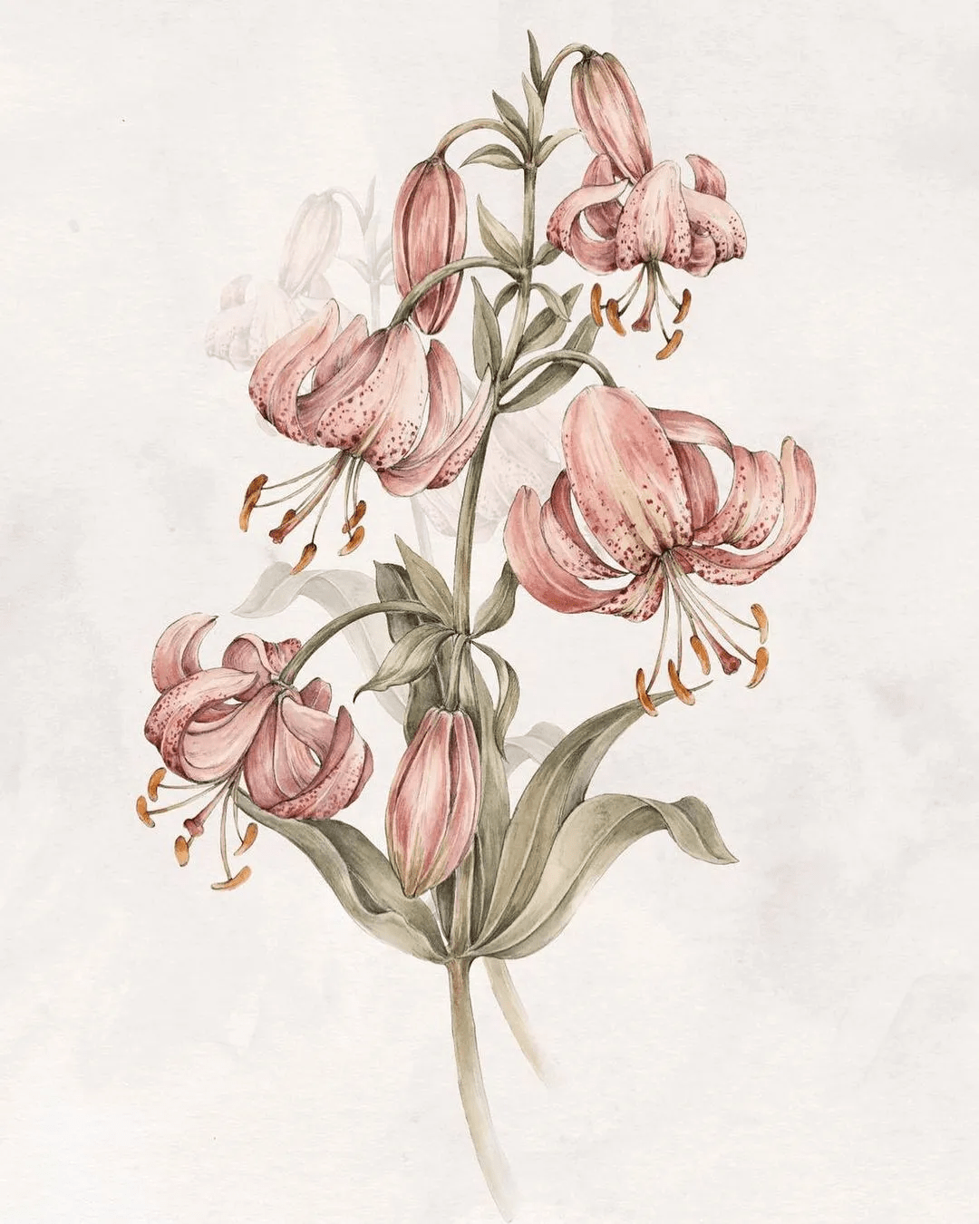 水彩大神笔下唯美复古的作品把无数人带进精致华丽的童话世界