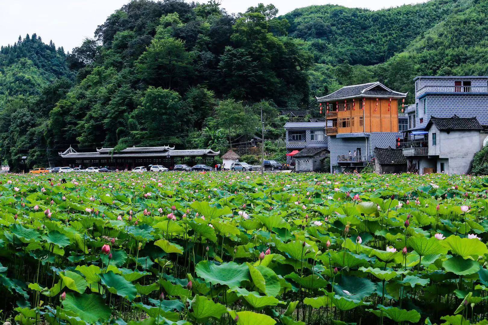 碧江:乡村游助增收