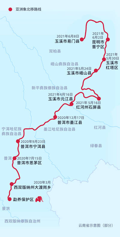 设计|在沉浸式体验新闻中，与“短鼻家族”一起旅行
