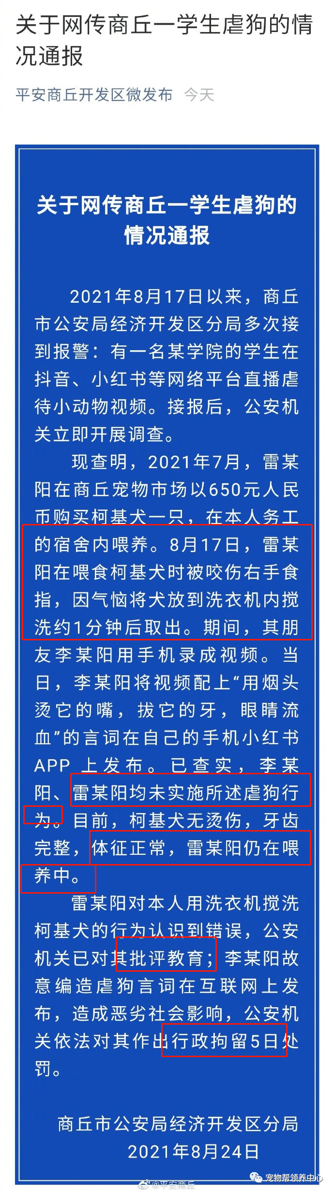 李某阳|洗衣机柯基终于找到,还活着!可还是留给了施虐者养……