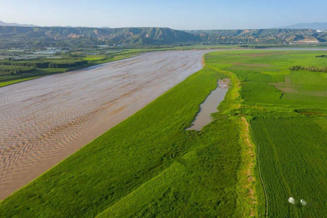 三门峡黄河滩涂地上的绿色草原