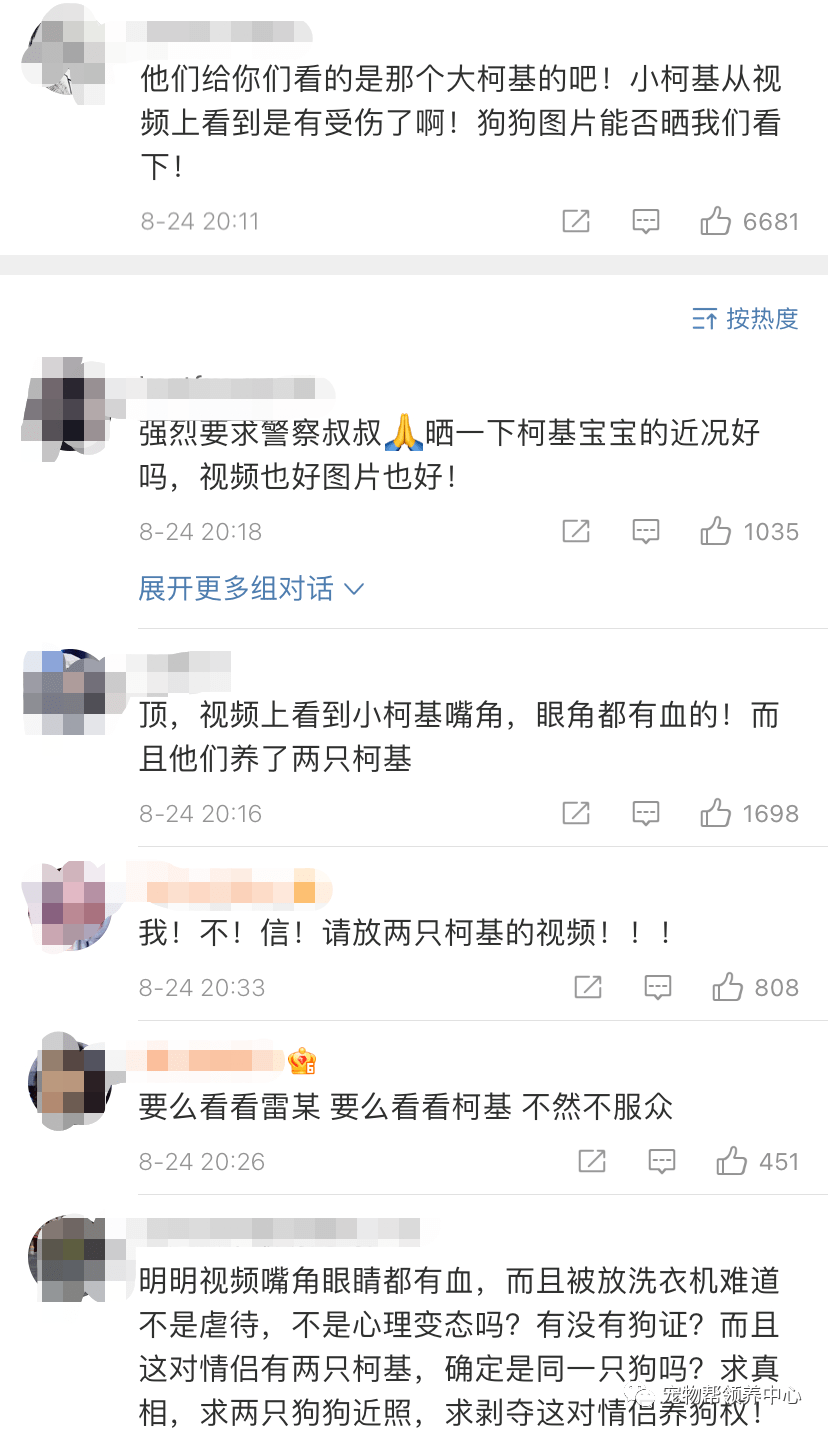 李某阳|洗衣机柯基终于找到,还活着!可还是留给了施虐者养……