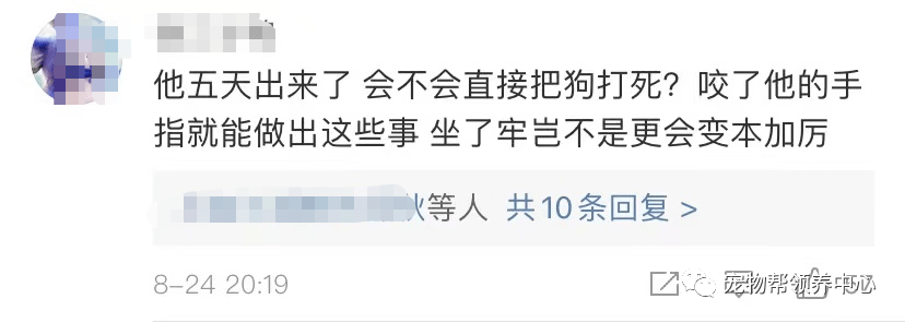 李某阳|洗衣机柯基终于找到,还活着!可还是留给了施虐者养……