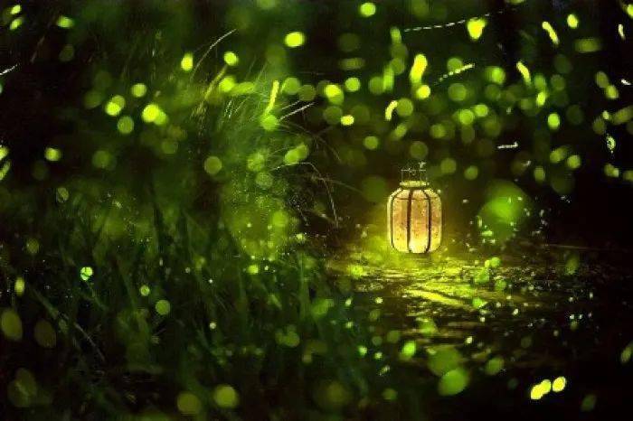 诗心斋微型诗社四季微型诗联盟第160期微诗同题萤火作品集萃总第612期