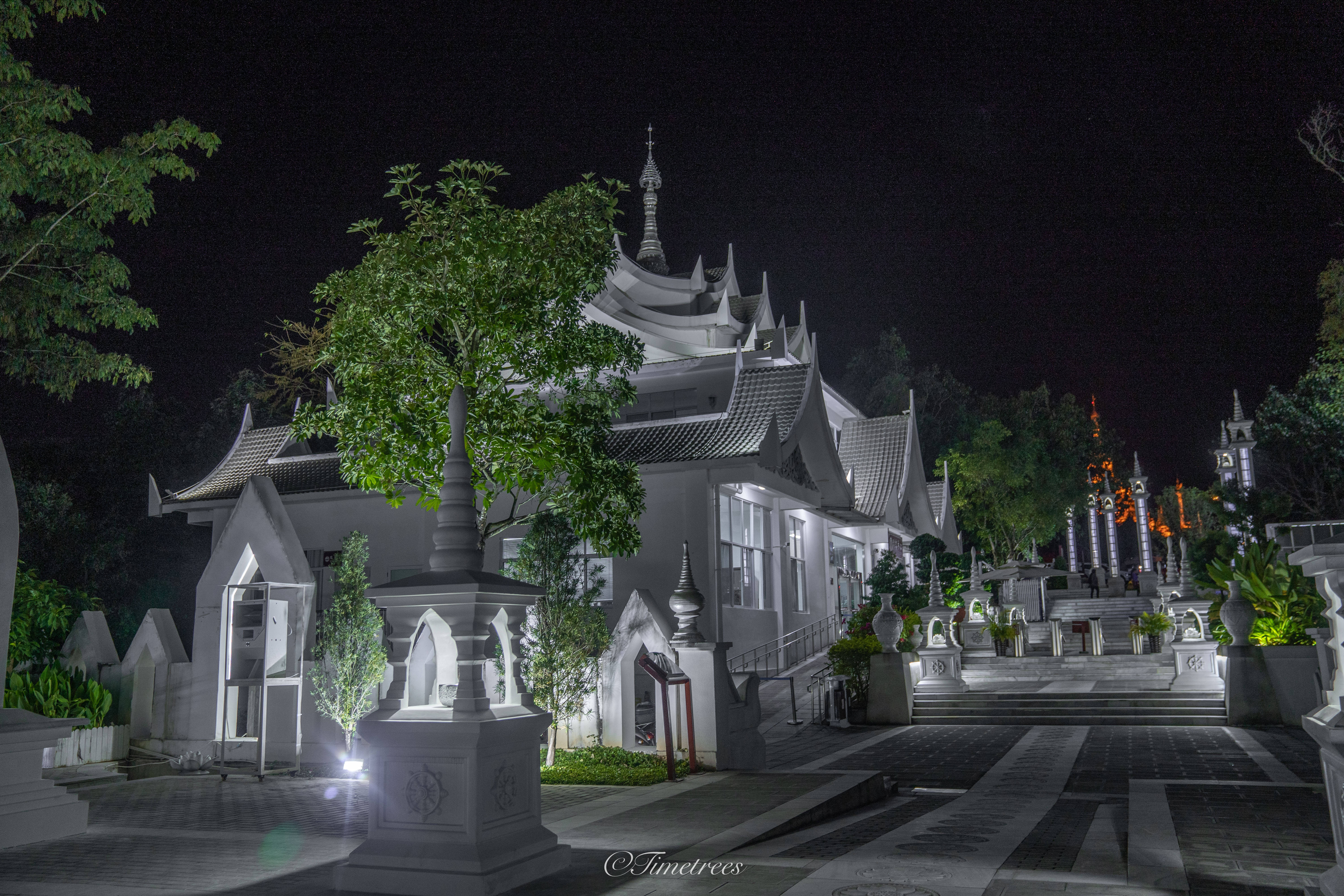 芒市银塔夜景图片