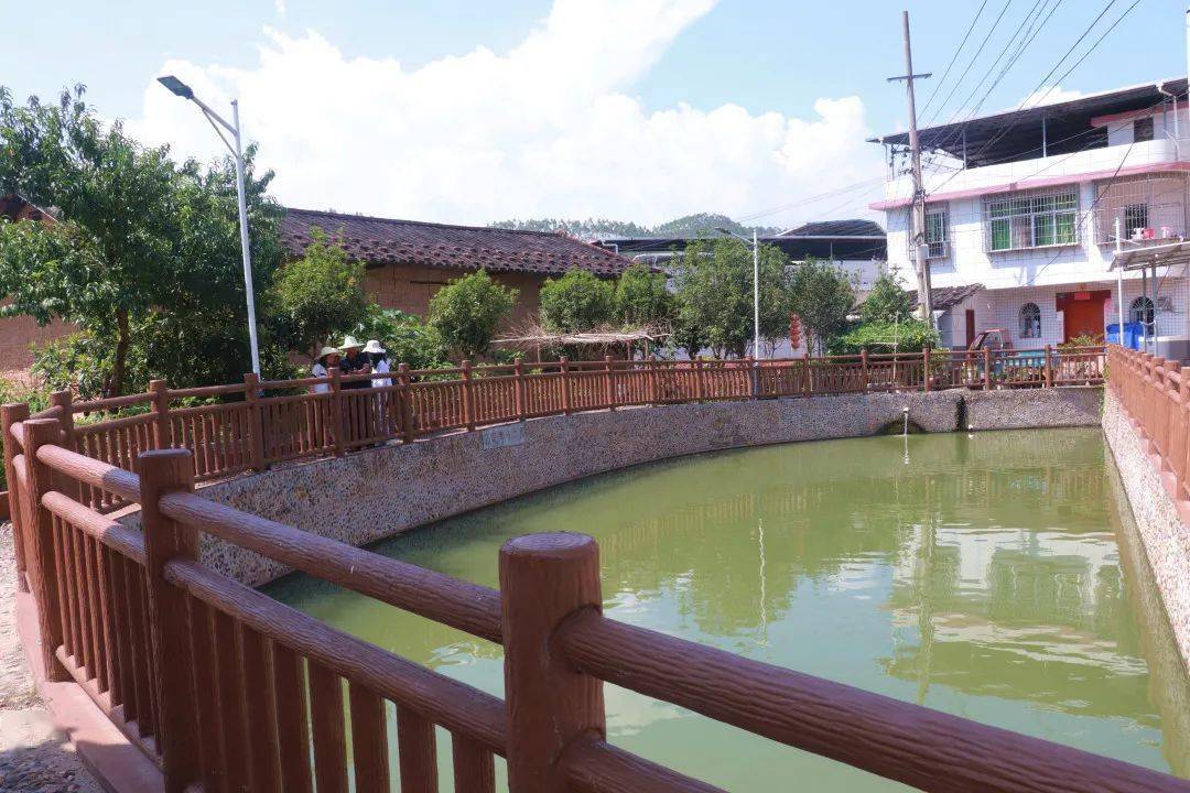 百村支书话振兴漳平东坑村蔬果飘香好丰景美丽乡村在绽放