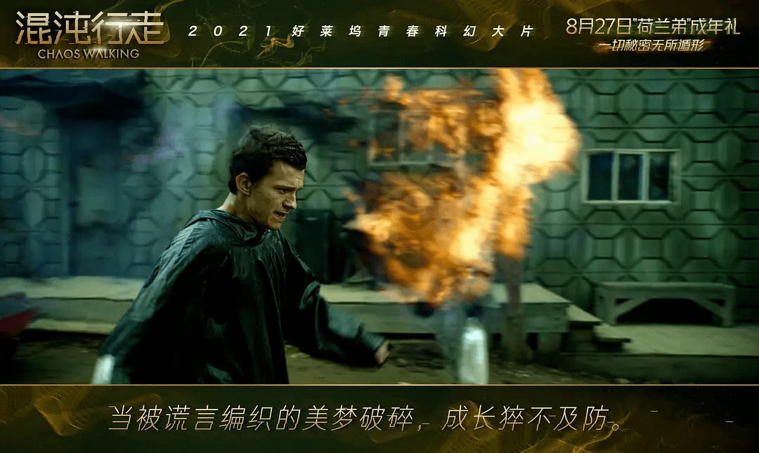 托德·赫维特|由内而外！这片把荷兰弟“扒了精光”！