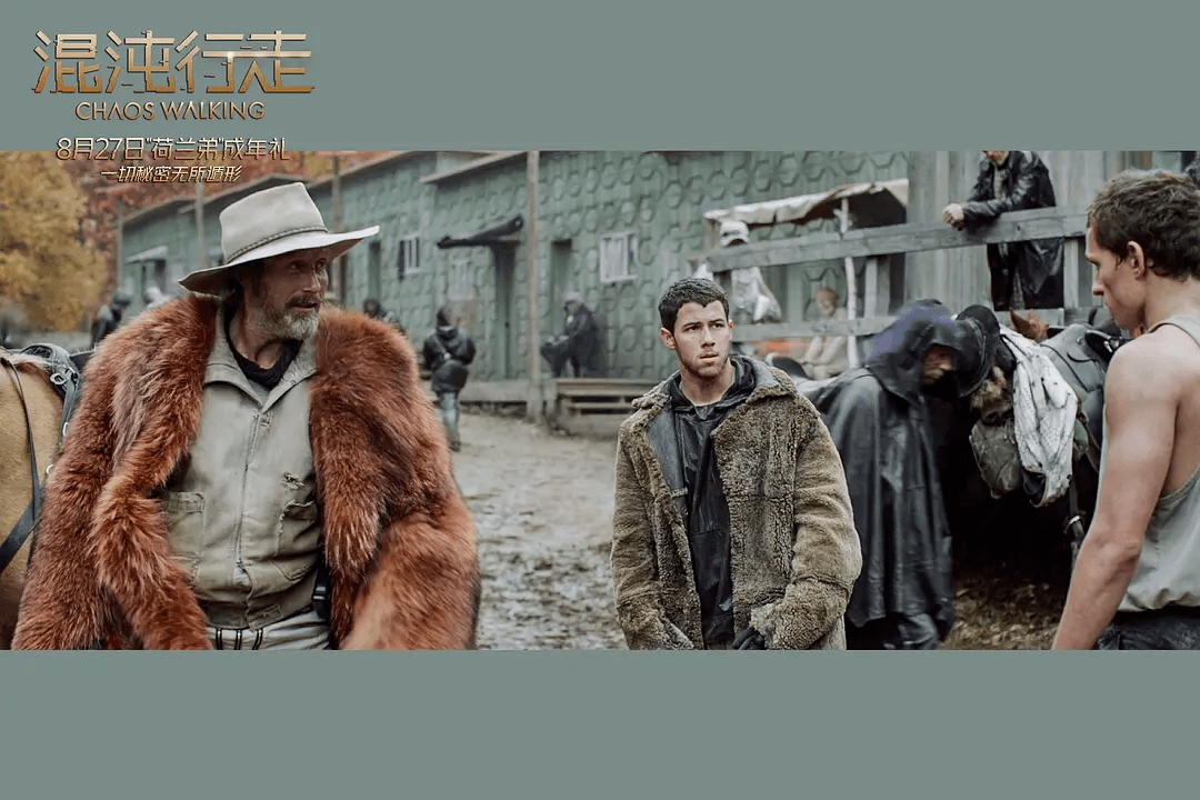 托德·赫维特|由内而外！这片把荷兰弟“扒了精光”！