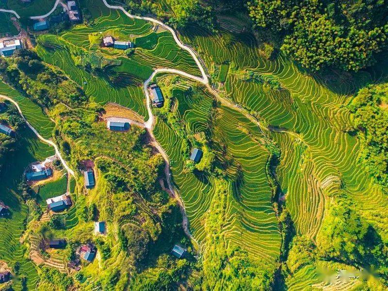 67多彩大田梯田如画看看你的家乡入镜了吗