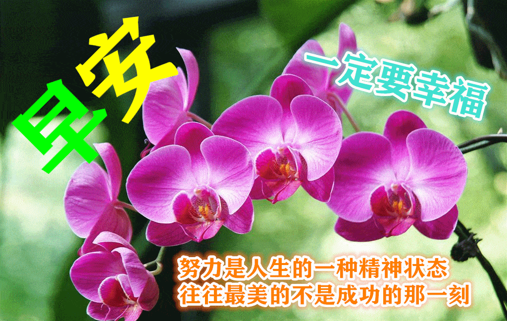 8月26日最漂亮早上好动态表情图片大全,早晨好动图美图大全