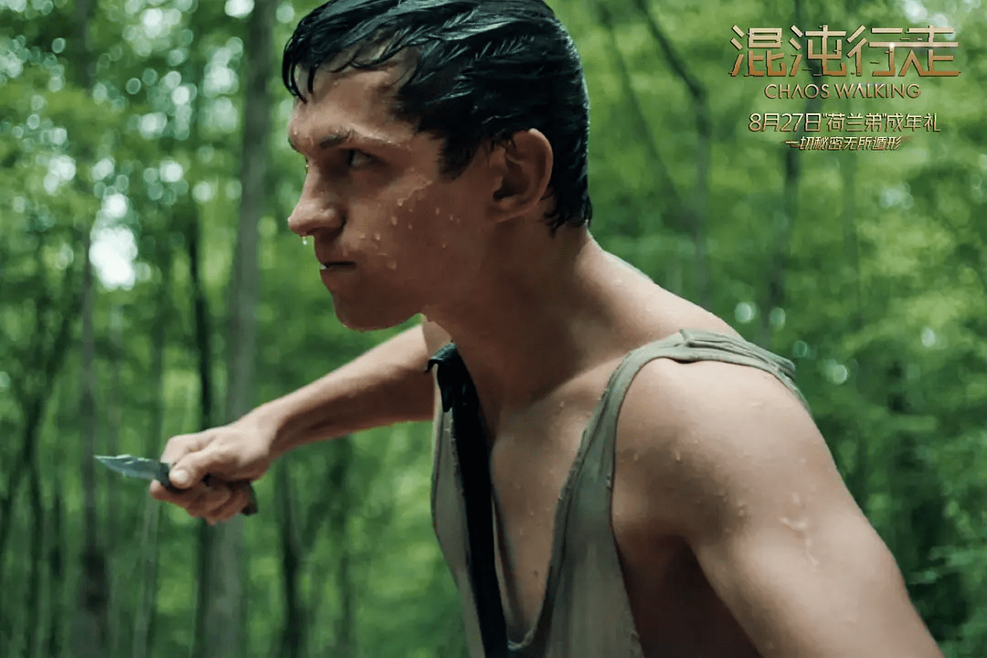 托德·赫维特|由内而外！这片把荷兰弟“扒了精光”！