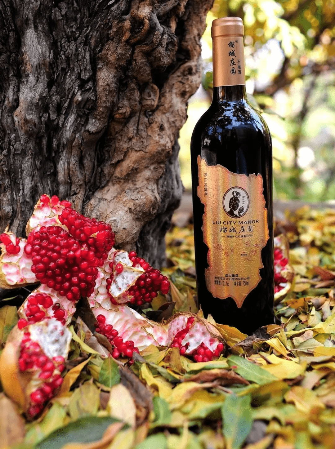 枣庄好礼饮杯石榴酒不枉过金秋