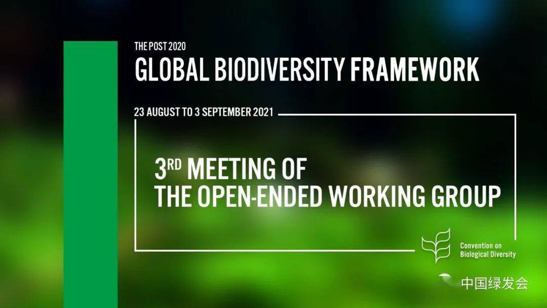绿会融媒获授权直播上万人参与2020年后全球生物多样