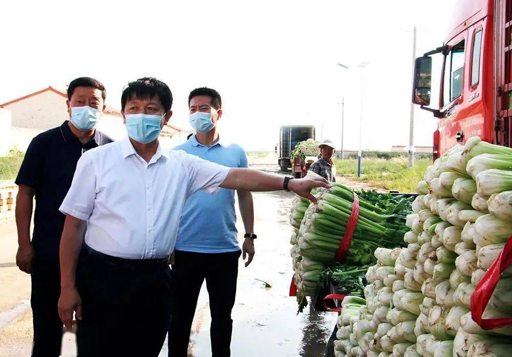 我们这样干 | 商都县委书记高永斌:登高望远谋新局 脚踏实地启新程