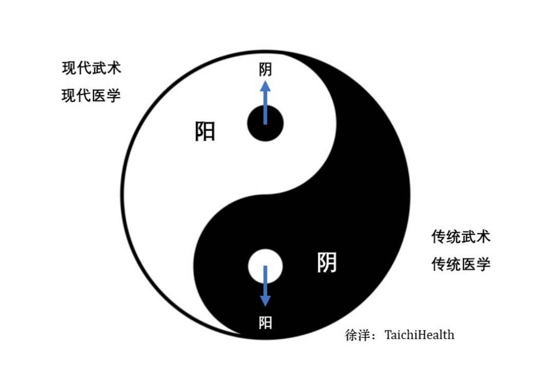 从医学角度解析太极拳的底层原理,一位康复医生十余年的实践和思考