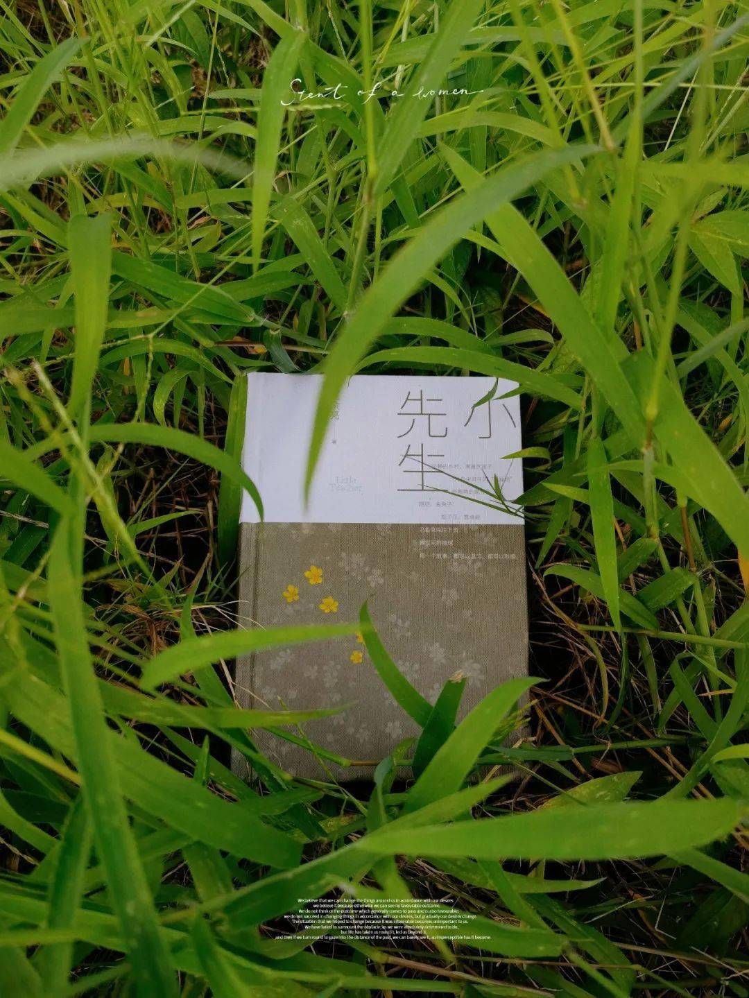 那时没有校外培训却有陪你成长的老师 那时没有校