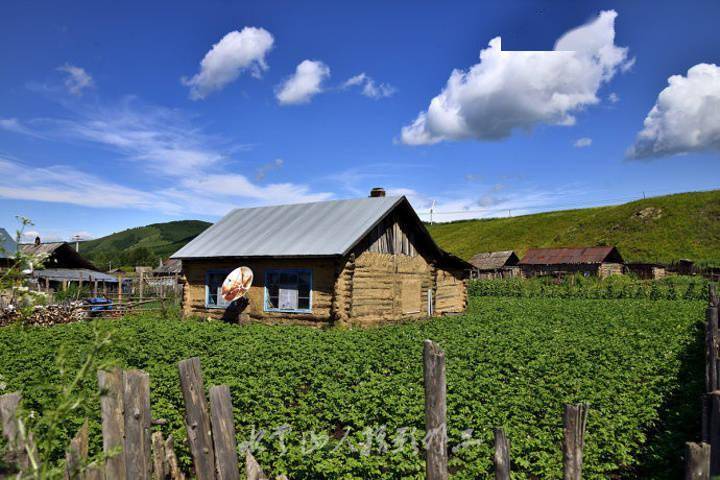 乡情散文老家的新立屯