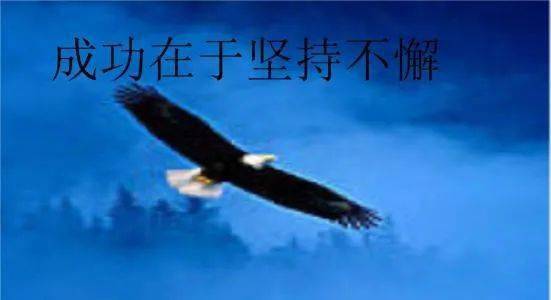 怎么坚持做一件事而不轻易放弃 200bd19d50e743f2b9fe9d8163cabe03.jpeg