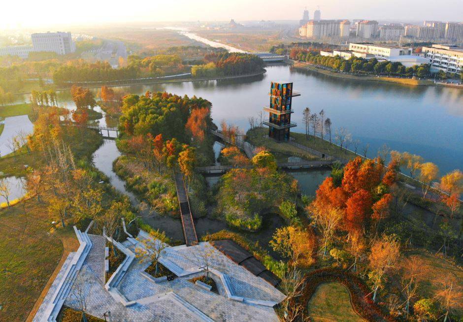“网红”上海天文馆外还有这样的纳凉好去处！临港新片区二环城市公园已经完成公园绿道体系整体贯通
