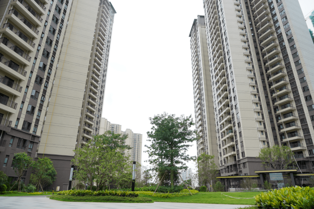 从一胎到三胎从首套房到二套房罗定90后努力买房的样子惹不起