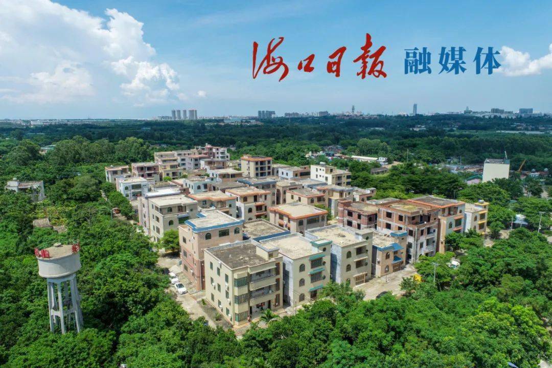聚焦海口乡村振兴第782期秀英区富教村统一规划实现美丽蜕变