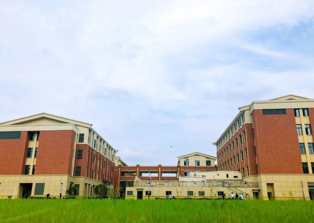 56亿元,占地56亩,是仓前街道第二所公办小学,云溪小学要投入使用了!