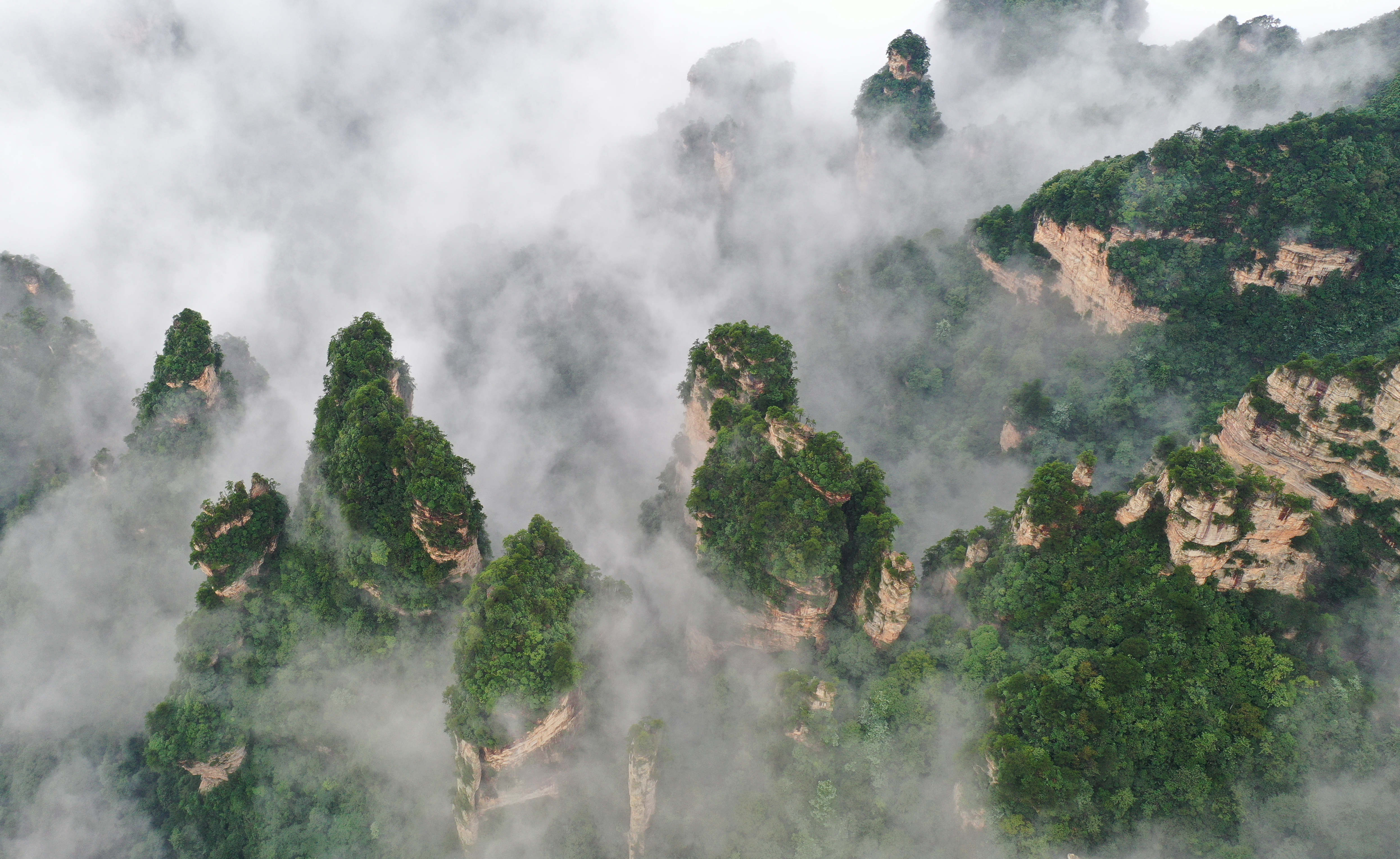 这是8月28日在张家界武陵源景区黄石寨拍摄的云海景观(无人机照片)