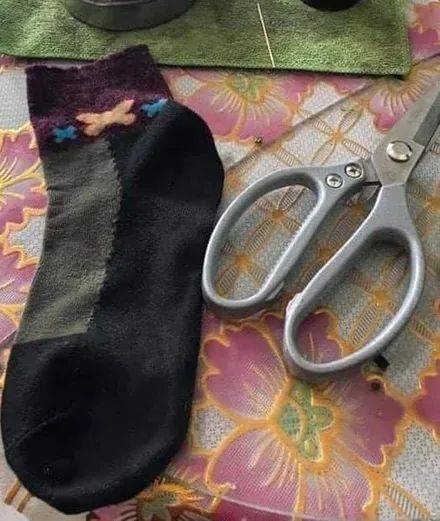 网友用旧袜子给狗狗做了一身衣服,狗子满脸写着高兴,太逗了!