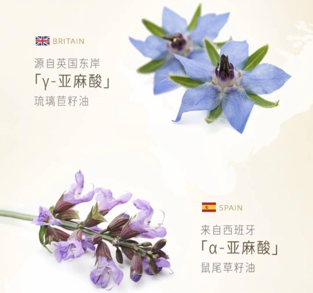 什么|肌肤油我不油天，火爆全网的“以油养肤”究竟是什么？