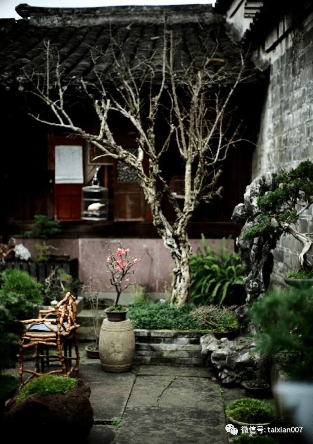 百年老石器中式庭院小景