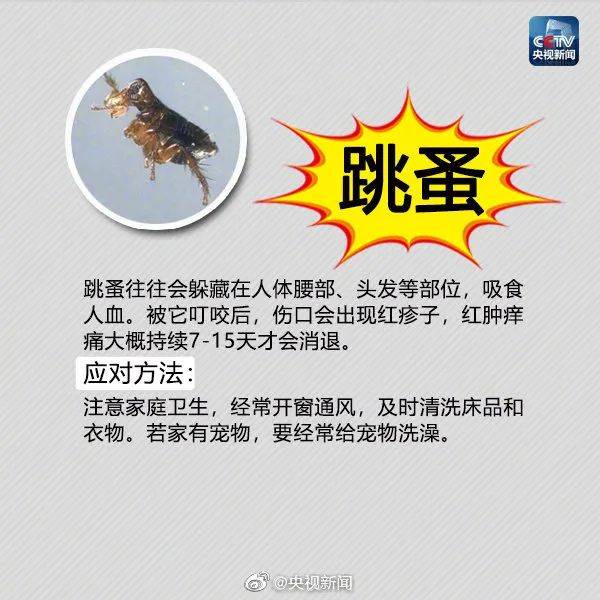 虫子咬了红肿痒怎么办