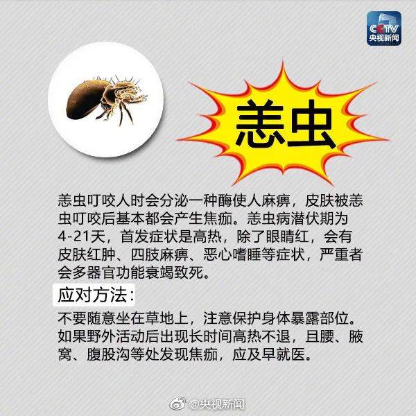 虫子咬了红肿痒怎么办