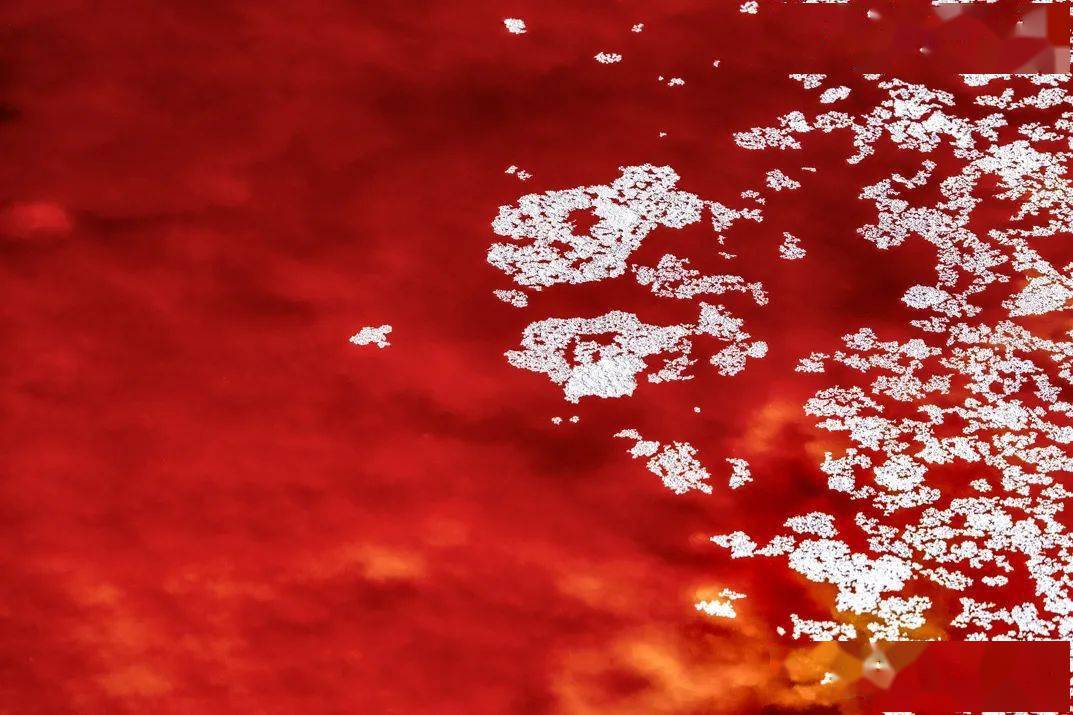 鲜有人知腾格里沙漠竟然有这么一片红海子实在太美了