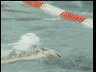 4623224953474693b8a1d12b45abf41a.gif