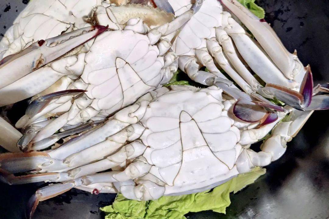 吃海鲜减脂的好时节来了!死了的海蟹还能吃吗?