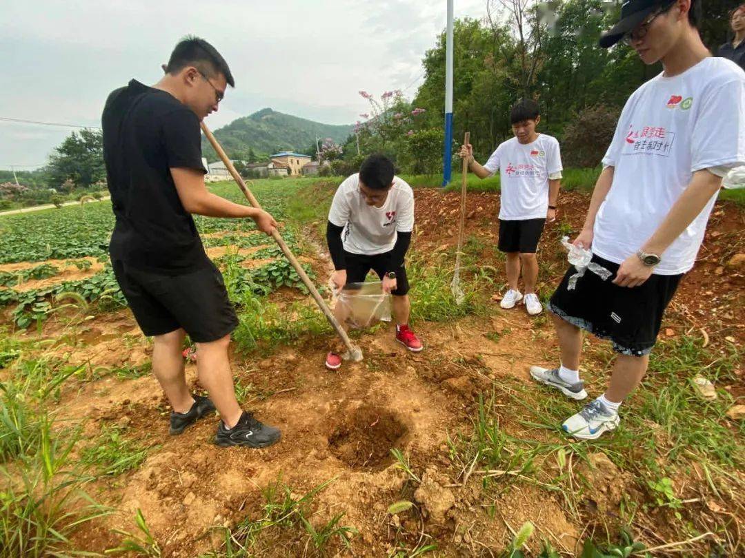 北海艺术学院是几本_北海艺术学院学费本科艺术专业_北海学院艺术本是专科吗