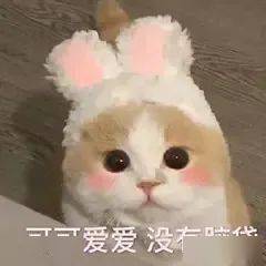 1f5651c65ab64e71b96cebc364f42ae5.jpeg