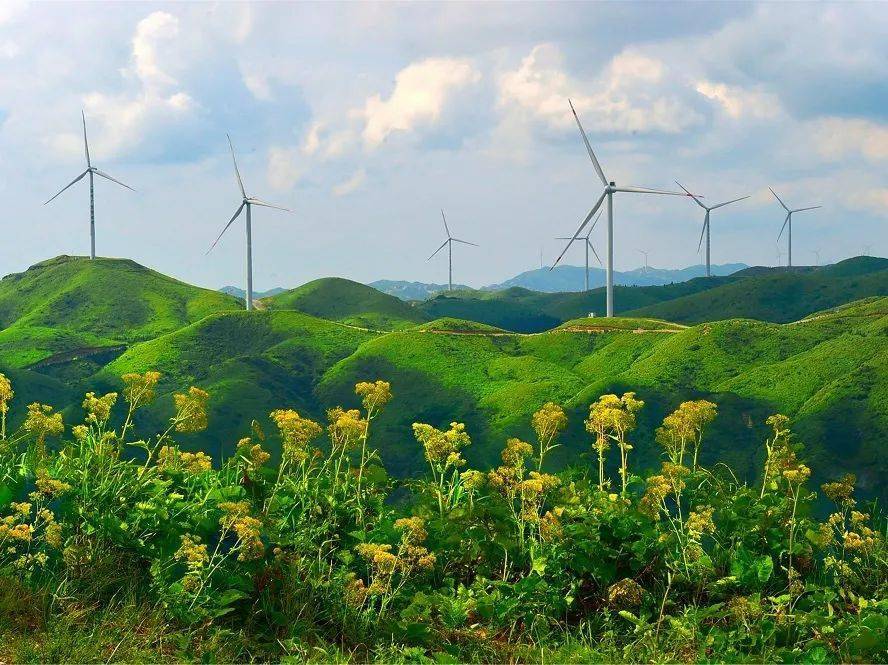 抓住暑假的尾巴，来天湖邂逅湖光山色魅力