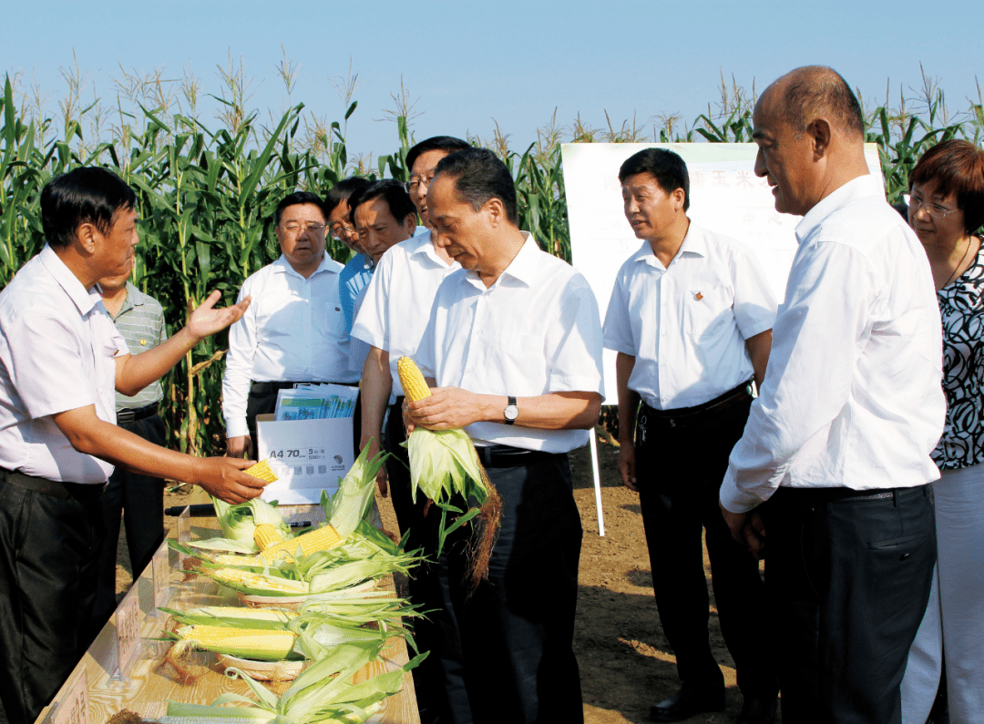 刘占文|太好吃了！不愧是获得金奖的玉米