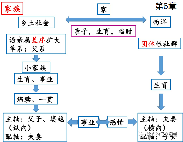 家族思维导图中文图片