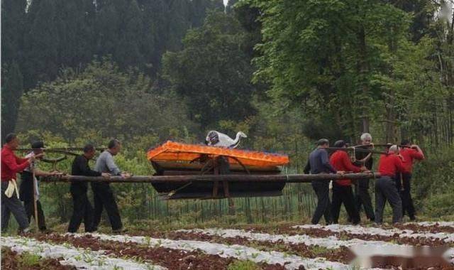 农村下葬3个忌讳动土有蛇棺木抬不动有前人遗骨都影响安葬