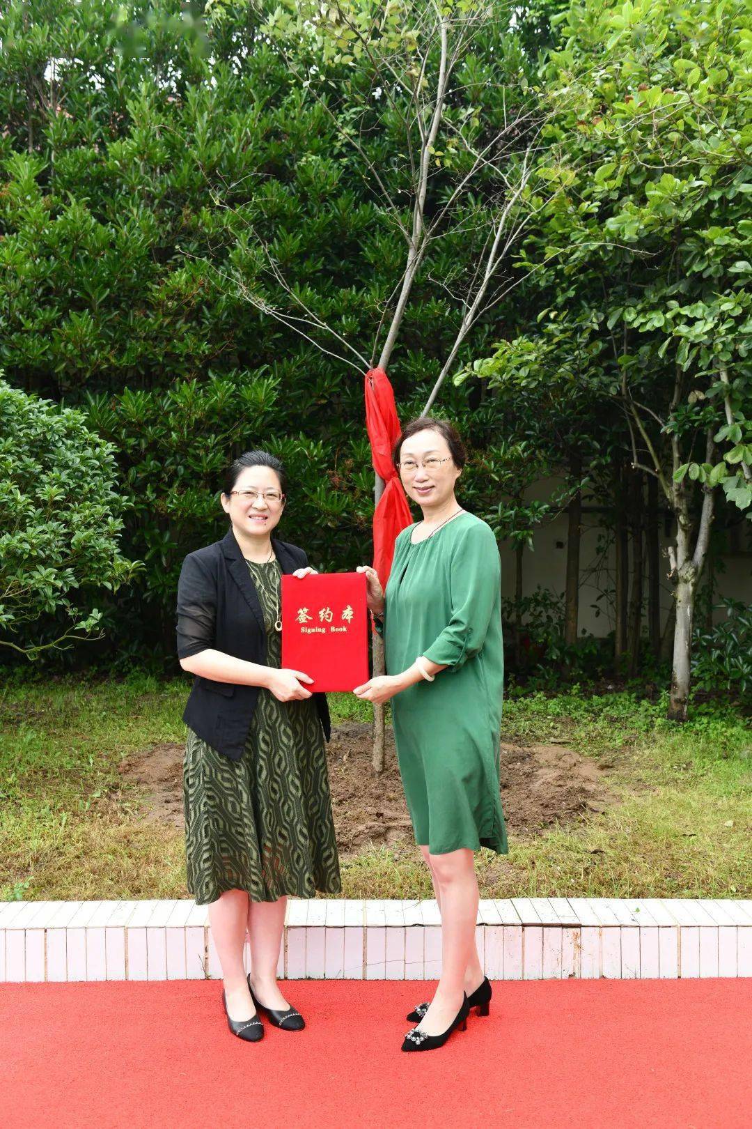 集团化办学青岛市实验小学的榉树扎根青岛八大峡小学