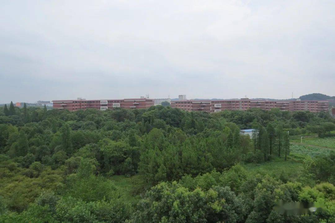 新面貌带你走进高安中专大城校区
