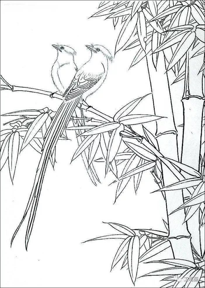 工笔线描素材山水花鸟很实用哦