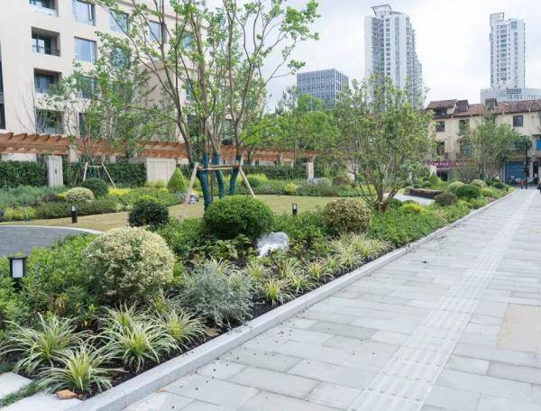 修缮|【探索】“光音花园”亮相黄浦，历史保护建筑与生态花园时空互融