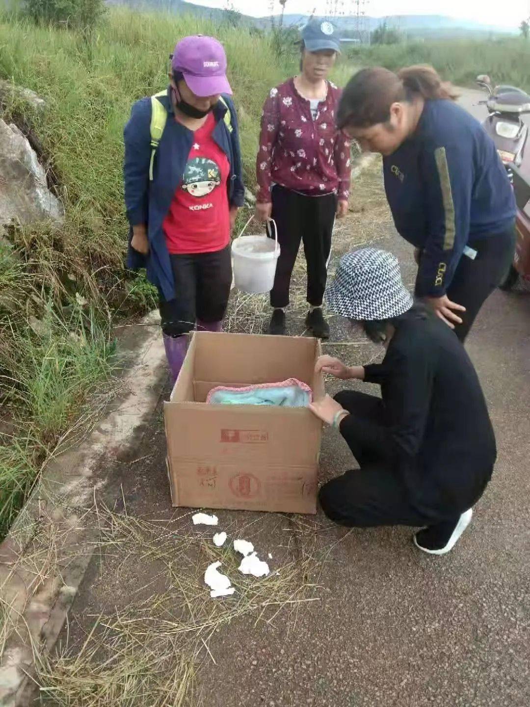 宣威一老乡在捡菌的路上捡到一名装在纸箱里的男婴.