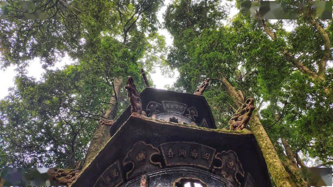 关于峨眉山的尼姑庵你了解多少