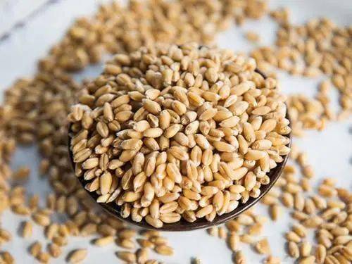 皮肤|观方好物 | 华山医院研制的这罐身体乳，我能囤一辈子