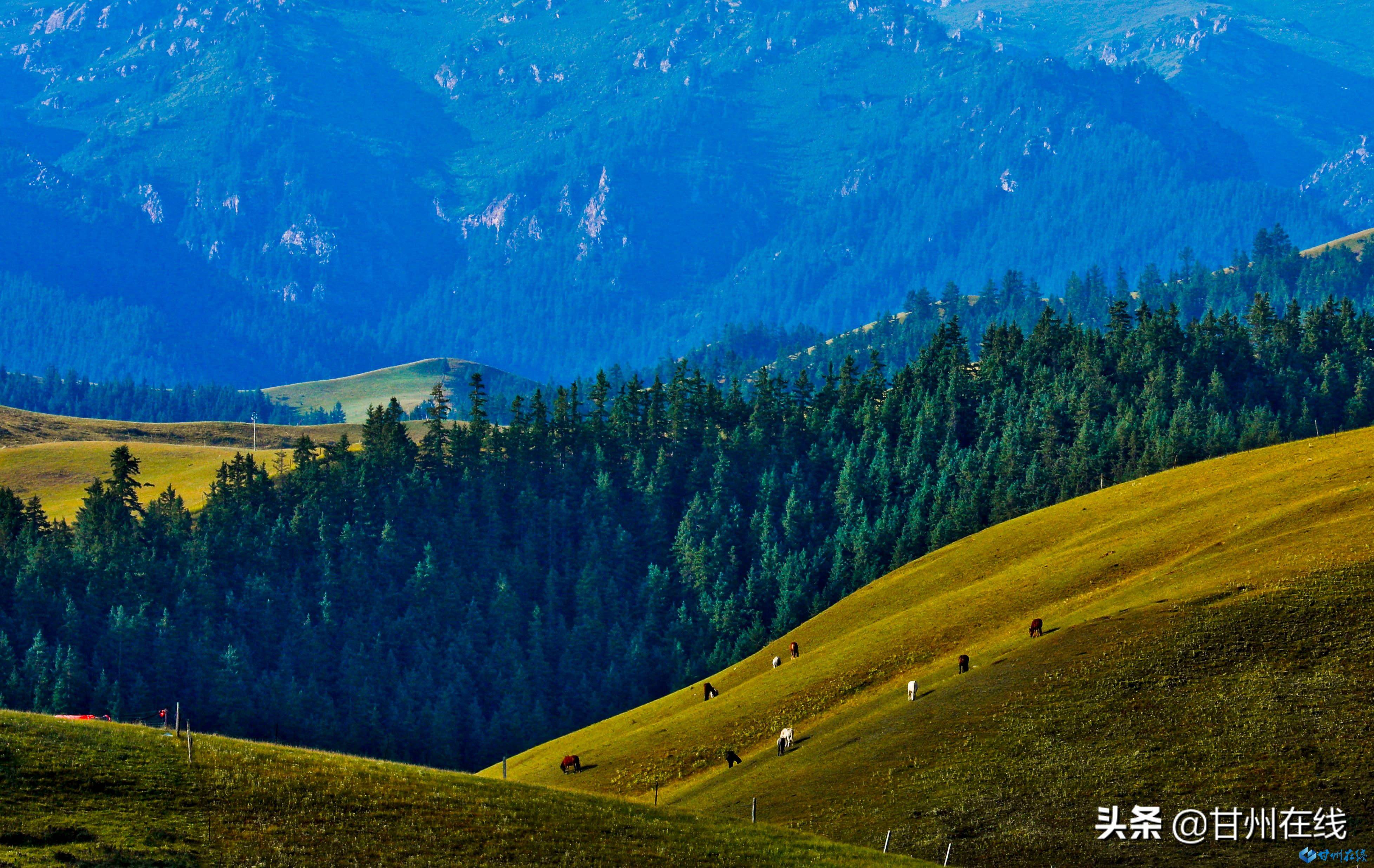 张掖:初秋祁连山风光美如画