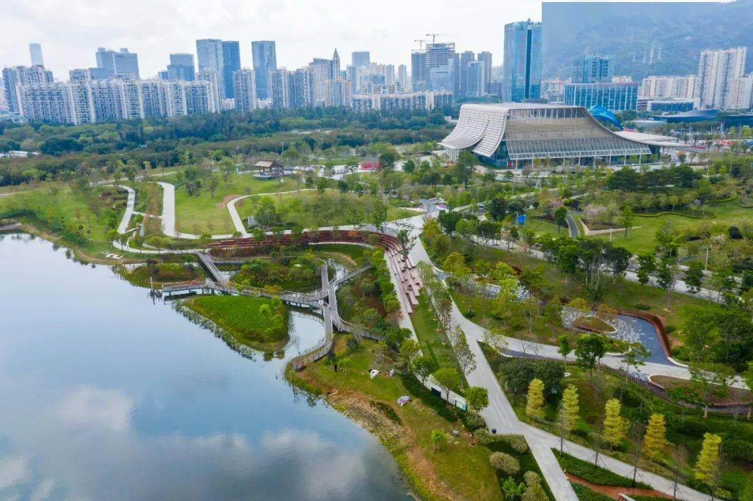 前海11周年国际化城市新中心